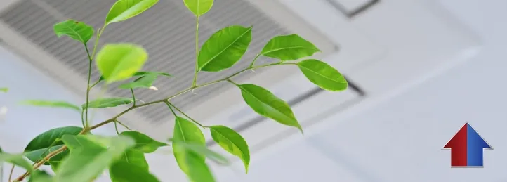 Indoor Air Quality