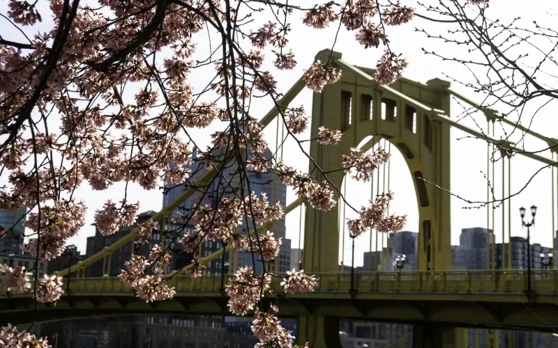 Serving the Greater Pittsburgh Area