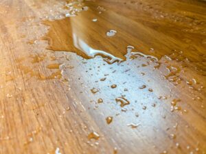 puddle-on-wood-floor